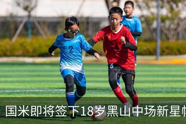 国米即将签下18岁黑山中场新星帕维切维奇