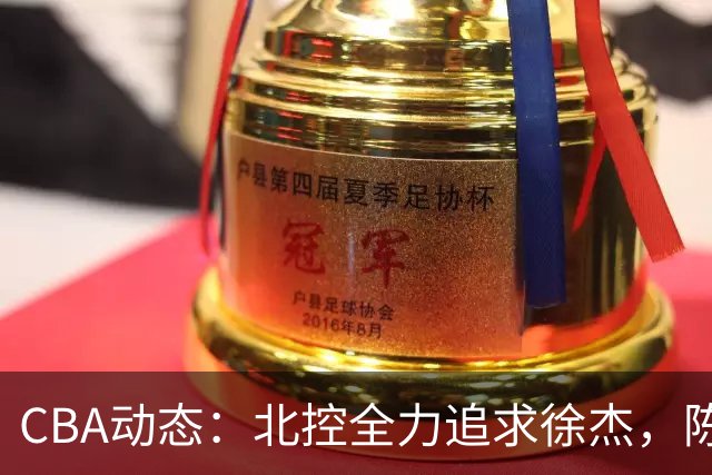 CBA动态：北控全力追求徐杰，陈海涛发声，萨姆纳面临离队？